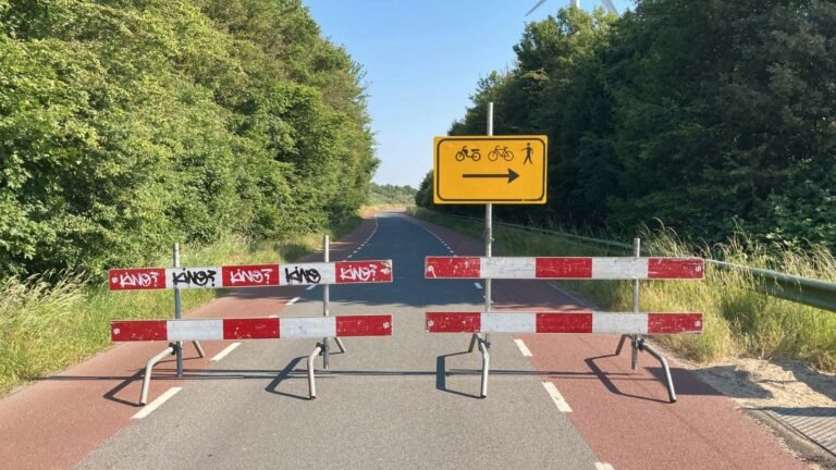 Duizenden sluipverkeerboetes Vianen.